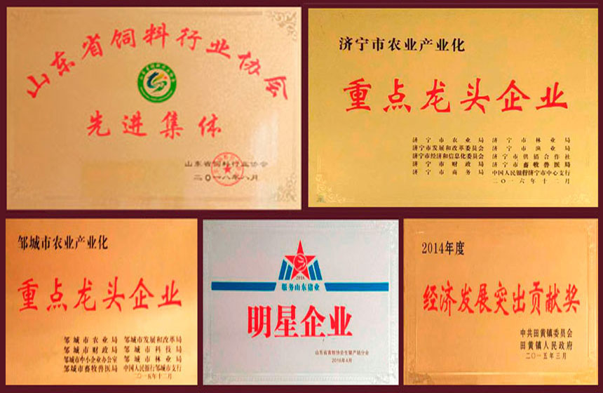 山東圣地山牧業(yè)有限公司